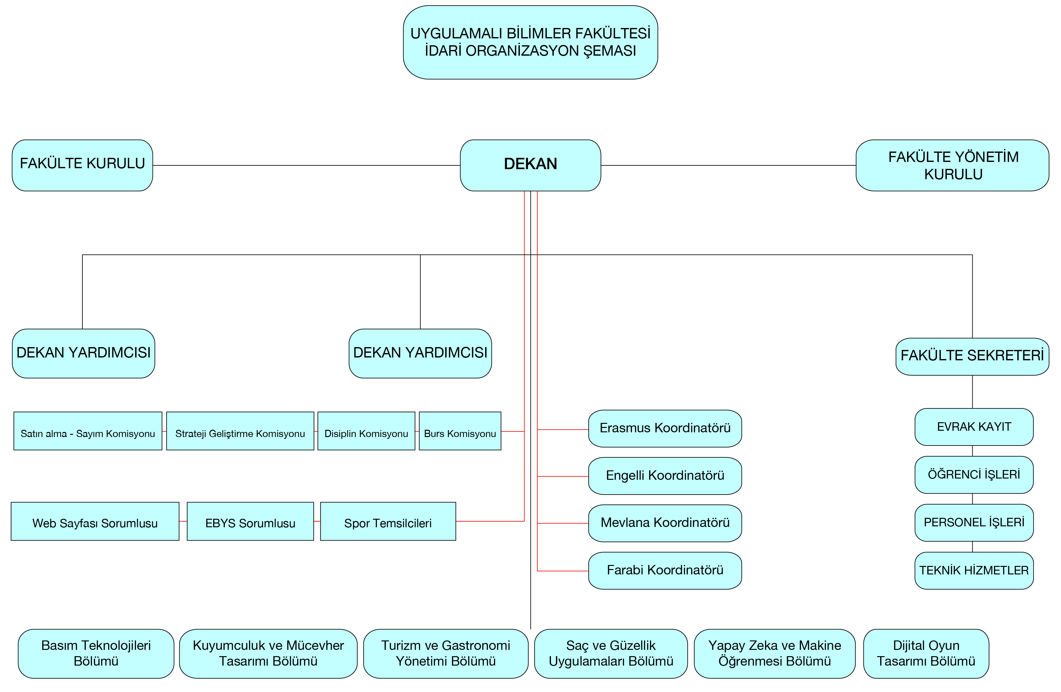 UBF Organizasyon semasi YENI.jpg (986 KB)